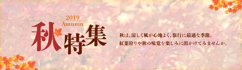 2019 Autumn 秋は、涼しく風が心地よく、旅行に最適な季節。紅葉狩りや秋の味覚を楽しみに出かけてみませんか。