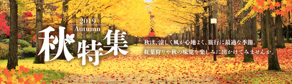 2019 Autumn 秋は、涼しく風が心地よく、旅行に最適な季節。紅葉狩りや秋の味覚を楽しみに出かけてみませんか。