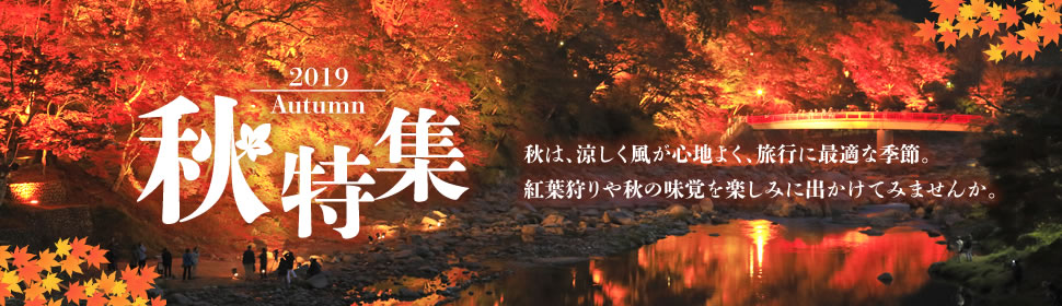 2019 Autumn 秋は、涼しく風が心地よく、旅行に最適な季節。紅葉狩りや秋の味覚を楽しみに出かけてみませんか。