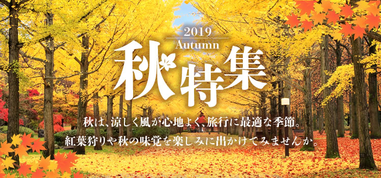 2019 Autumn 秋は、涼しく風が心地よく、旅行に最適な季節。紅葉狩りや秋の味覚を楽しみに出かけてみませんか。