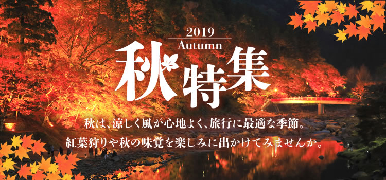 2019 Autumn 秋は、涼しく風が心地よく、旅行に最適な季節。紅葉狩りや秋の味覚を楽しみに出かけてみませんか。