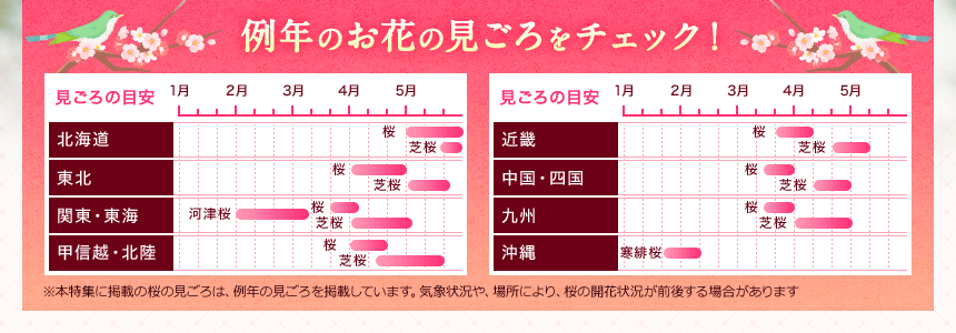 例年のお花の見ごろをチェック!