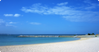 海が見える