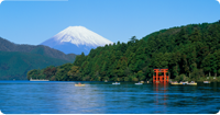 富士山が見える