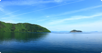湖が見える