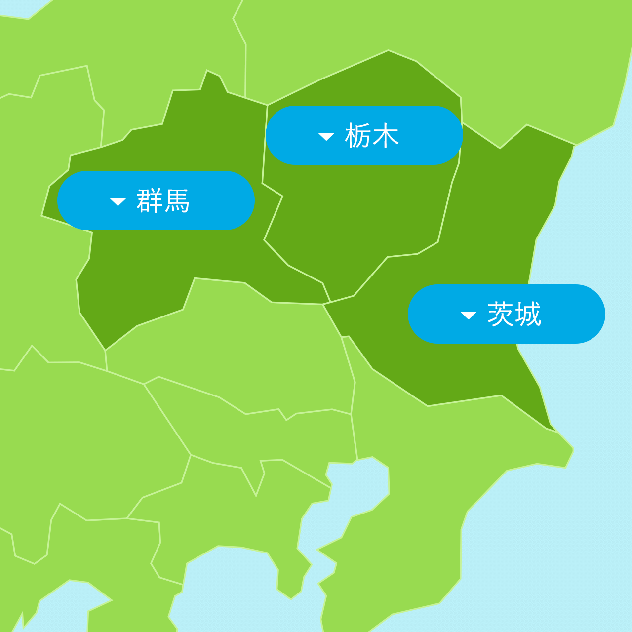 年1月3連休に泊まれる北関東の宿 ホテル るるぶトラベル で宿泊予約