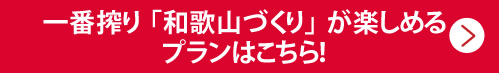 一番搾り「和歌山づくり」が楽しめるプランはこちら！