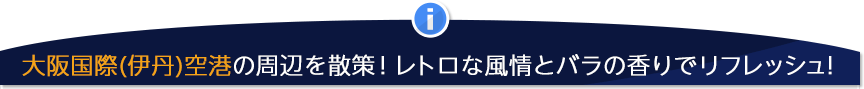 大阪国際空港 伊丹空港 周辺ホテル特集 出張 旅行を快適に るるぶトラベル で宿泊予約