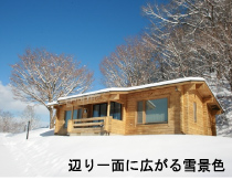 辺り一面に広がる雪景色