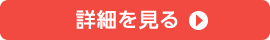 詳細を見る